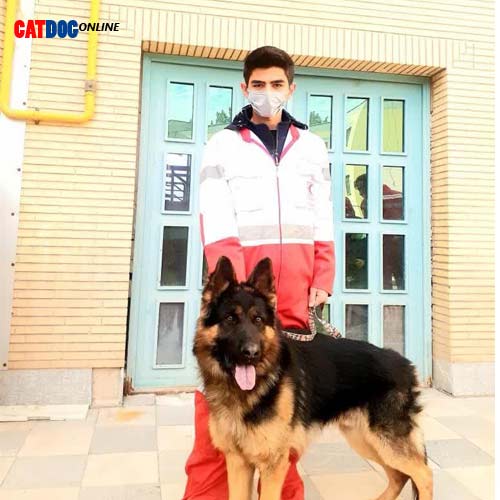 مربی آموزش سگ در کرمان 