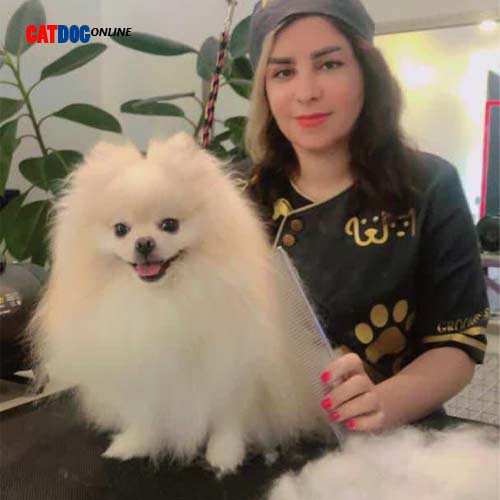 آرایشگاه حیوانات خانگی پیرایش و اصلاح سگ در اصفهان