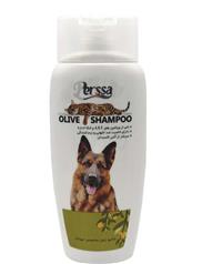 شامپو سگ و گربه پرسا مدل های روغن زیتون و آلوئه ورا 250 میل | Persa-dog-and-cat-shampoo-olive-oil-and-aloe-vera-250-ml